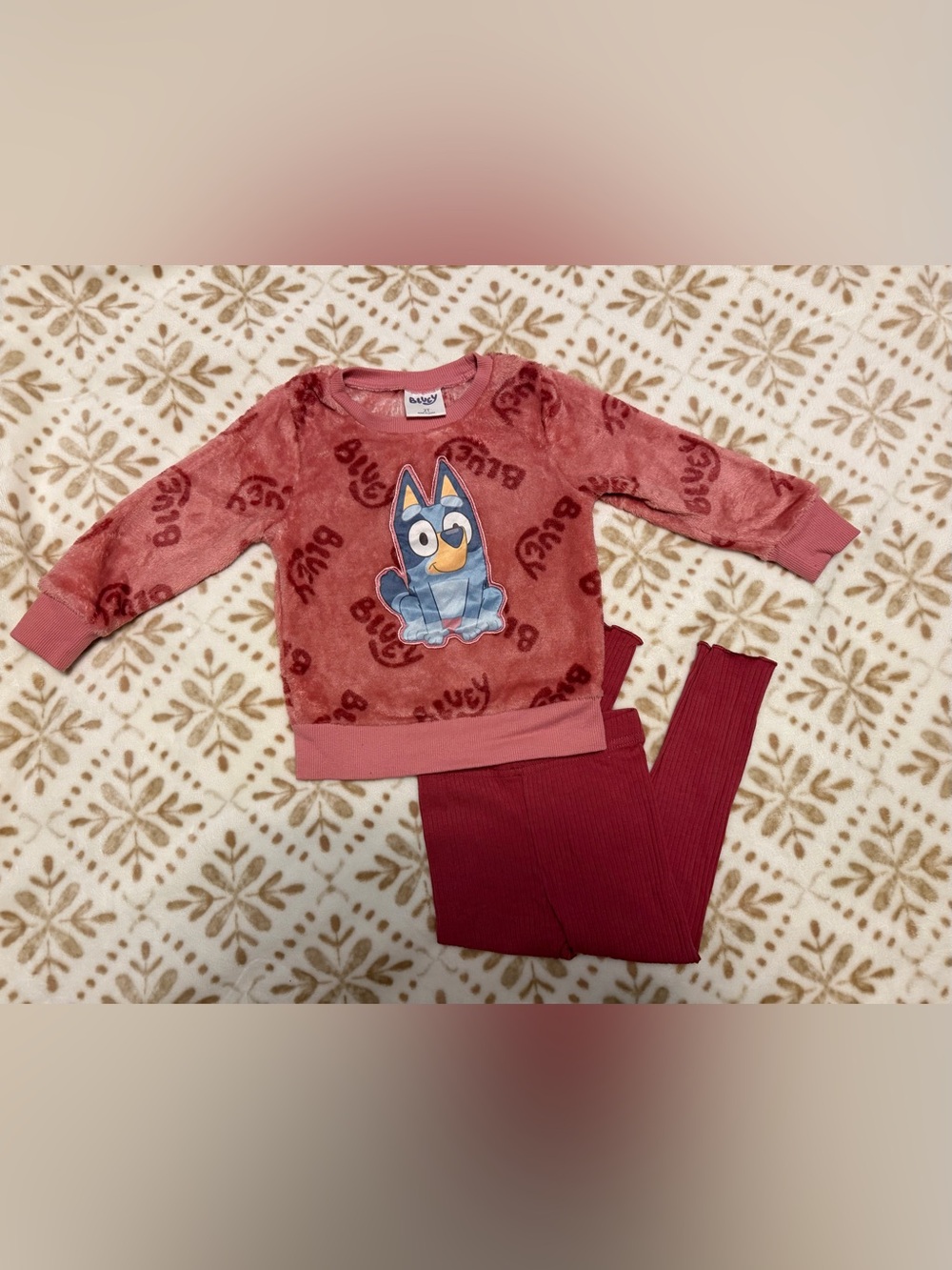 Bluey Plush Top and Legging Set
